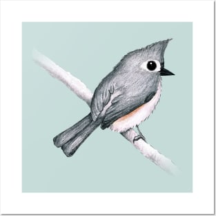 Tufted titmouse Posters and Art